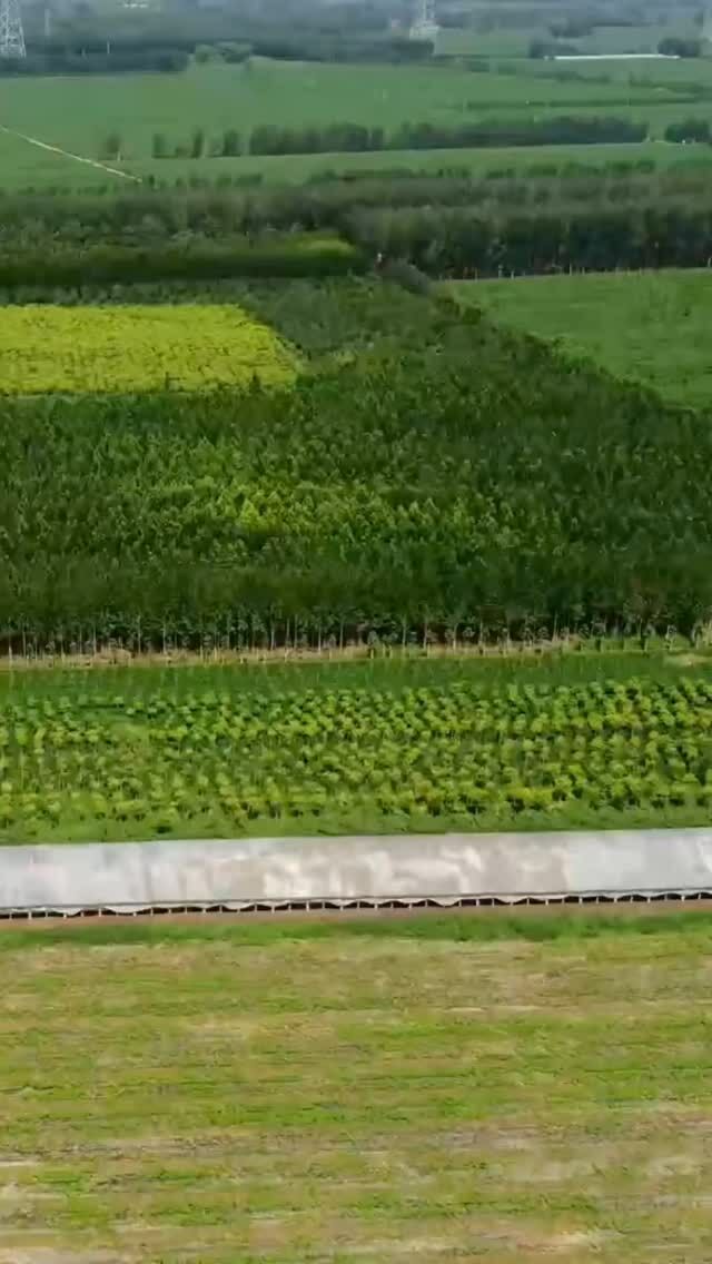 🚨 Pesticides : vers un open bar sans limite de temps ?
La Commission européenne envisage d’autoriser certains pesticides sans limite de durée. Une dérive inquiétante.

Les contrôles actuels ont pourtant prouvé leur utilité : des substances comme les PFAS ou les néonicotinoïdes n’auraient probablement jamais été interdites si elles avaient été exemptées de cette procédure de renouvellement. Cette « simplification administrative » est en réalité un vrai risque d’ouvrir la porte à une réintroduction implicite de molécules controversées, sans que leur évaluation sanitaire soit réactualisée. 

 Revenir en arrière serait une faute.

En Wallonie, on assiste donc à une logique à deux vitesses :
👉 d’un côté, on envisage de limiter l’usage des pesticides dans des zones sensibles, comme les zones de captage ;
👉 de l’autre, au niveau européen, on parle d’un open bar des pesticides.

🌍 

La santé publique et l’environnement doivent primer sur les lobbies industriels.
C’est une question de cohérence. Et de responsabilité.

#Pesticides #SantéPublique #Environnement #Europe #Wallonie EauPotable Agriculture PrincipeDePrécaution